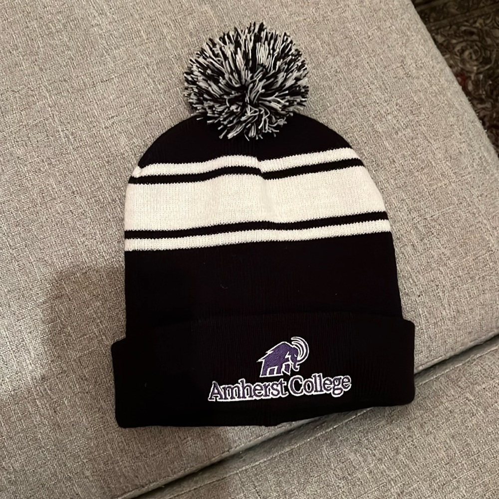 Amherst Beanie